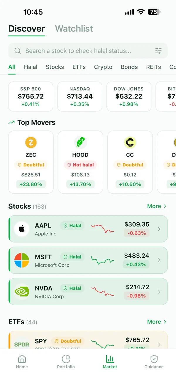 Penny stock detail with its halal screening breakdown